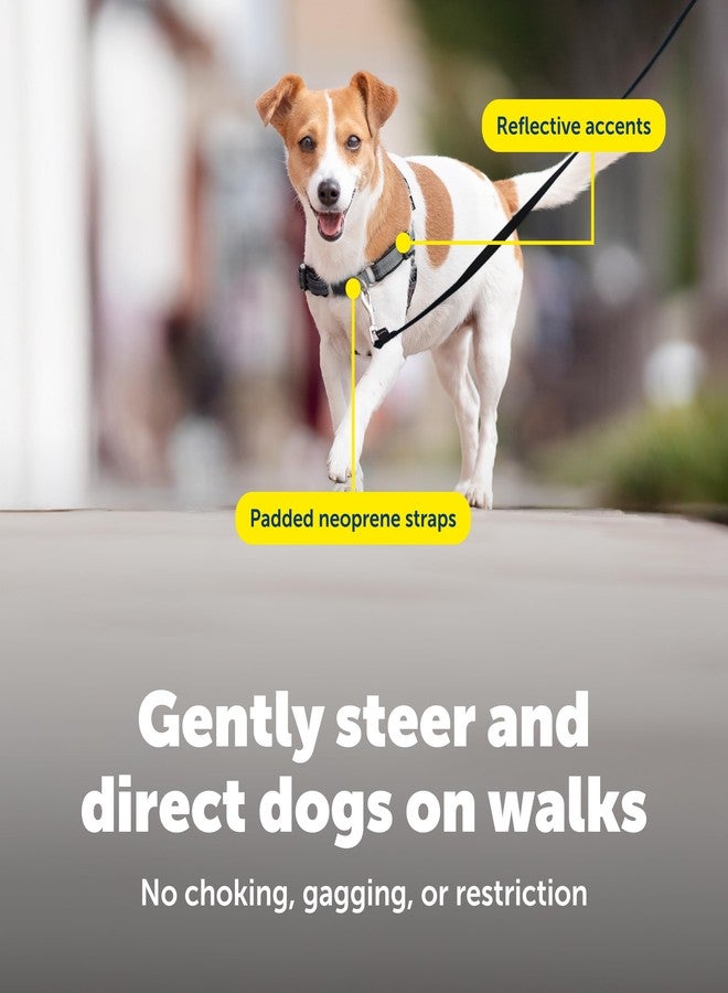 بيت سيف حزام صدر PetSafe Deluxe Easy Walk - حزام صدر للكلاب موثوق به من قبل المدربين، بتصميم حلقة مارتينجال قابلة للتهوية - يساعد على منع الشد دون الاختناق أو التقيؤ - صغير - أزرق محيطي - Image 5